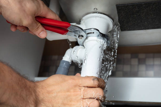 Best Local water damage restoration  in Barrackville, WV