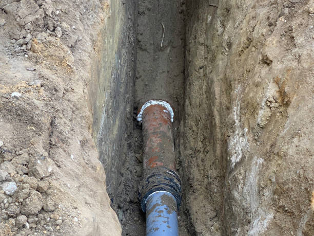 Best Sewage cleanup and water damage restoration  in Barrackville, WV