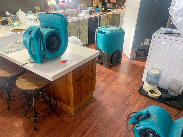 Best Carpet water damage restoration  in Barrackville, WV