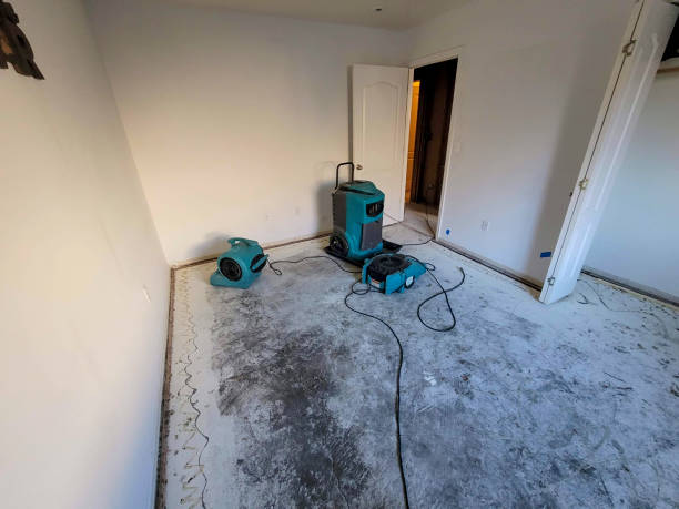 Professional Water damage restoration in Barrackville, WV