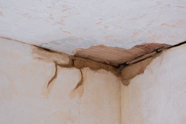 Best Ceiling water damage repair  in Barrackville, WV