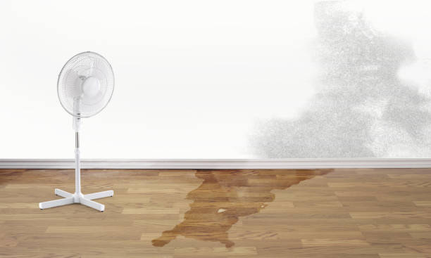 Best Flood restoration services  in Barrackville, WV