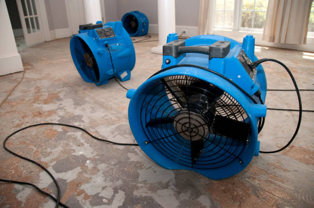 Best Emergency water damage restoration  in Barrackville, WV