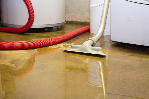 Best Basement water damage restoration  in Barrackville, WV