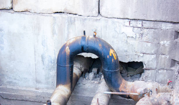 Best Carpet water damage restoration  in Barrackville, WV