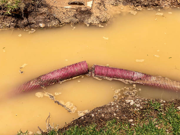 Best Professional water damage repair  in Barrackville, WV